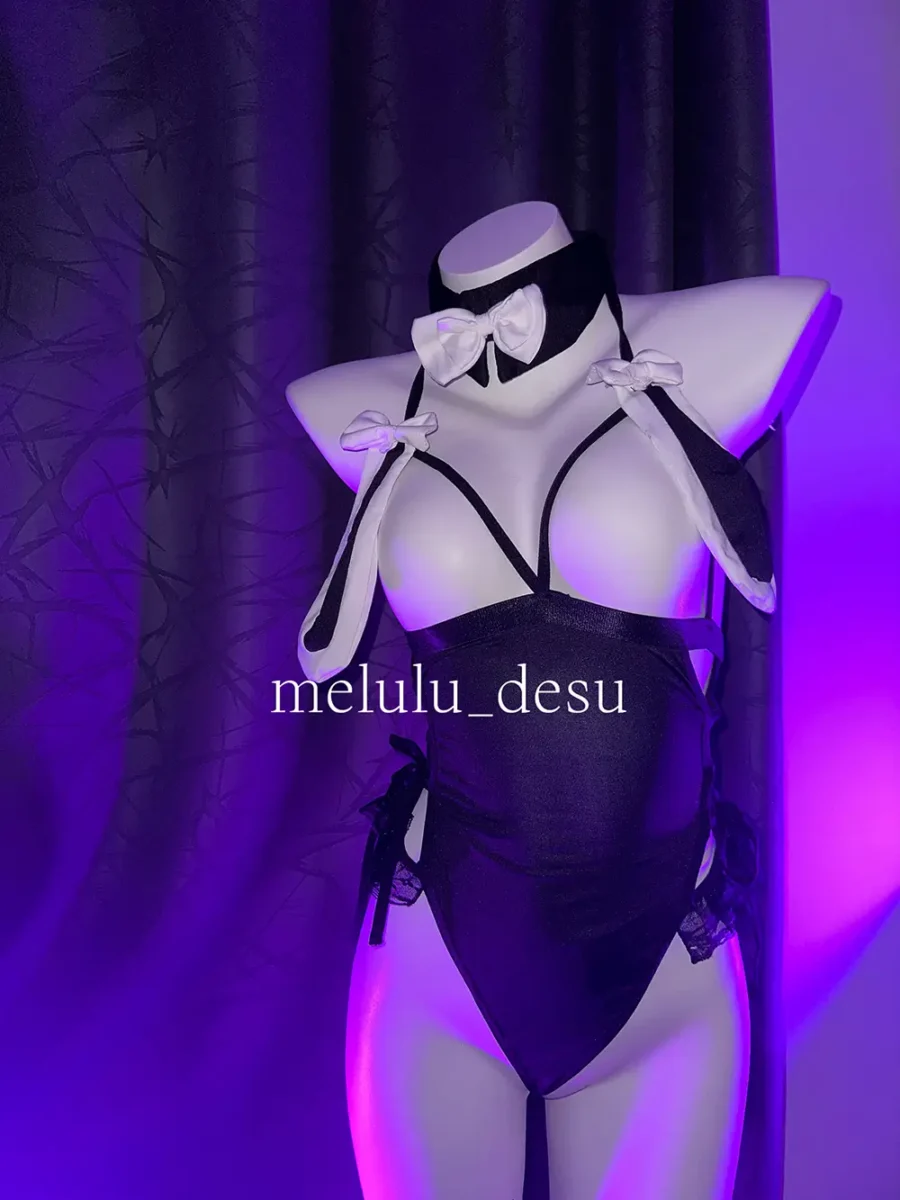 Naughty Maid Set