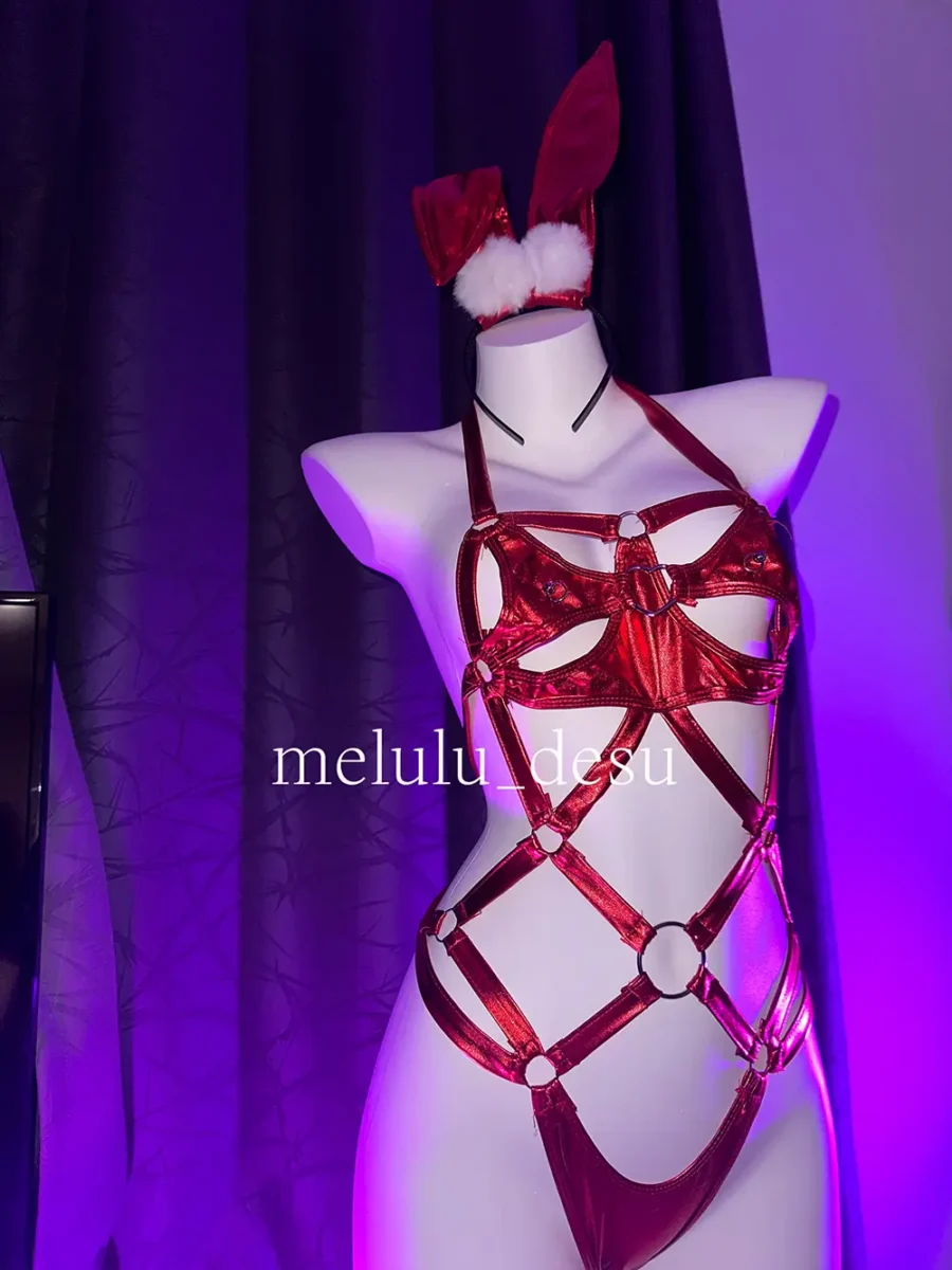 Red Hot Bunny Set
